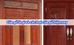 Cửa gỗ là gì - Các loại cửa gỗ phổ biến hiện nay - Sotayandam