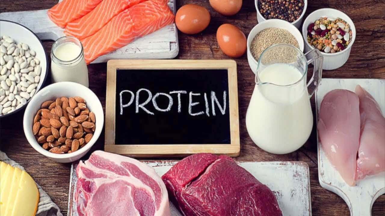 Protein 1